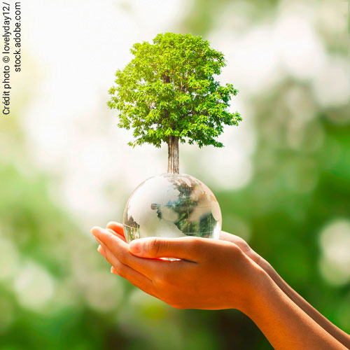 Environnement